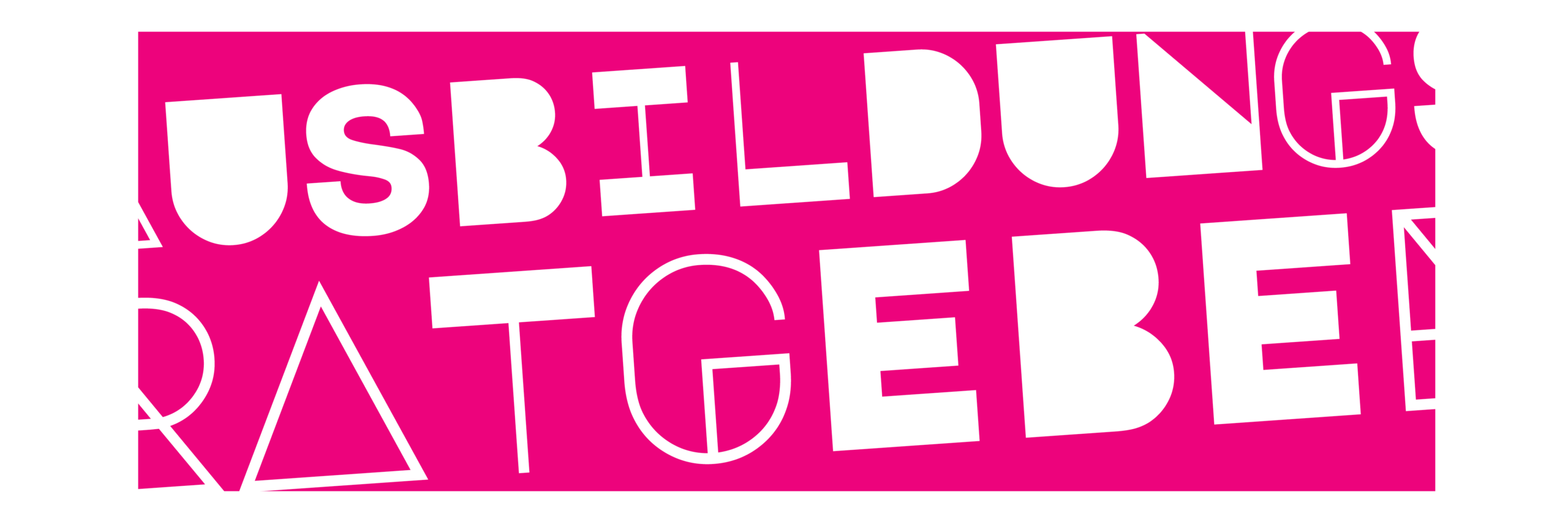 Ausbildungsratgeber Online | LINUS WITTICH Medien